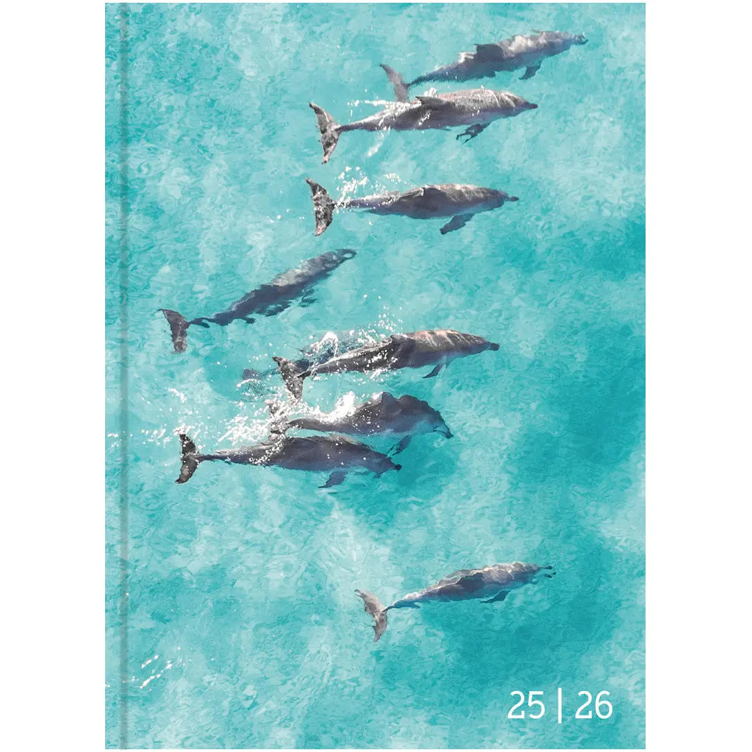 BIELLA Schüleragenda Animal 25/26 Idealshop