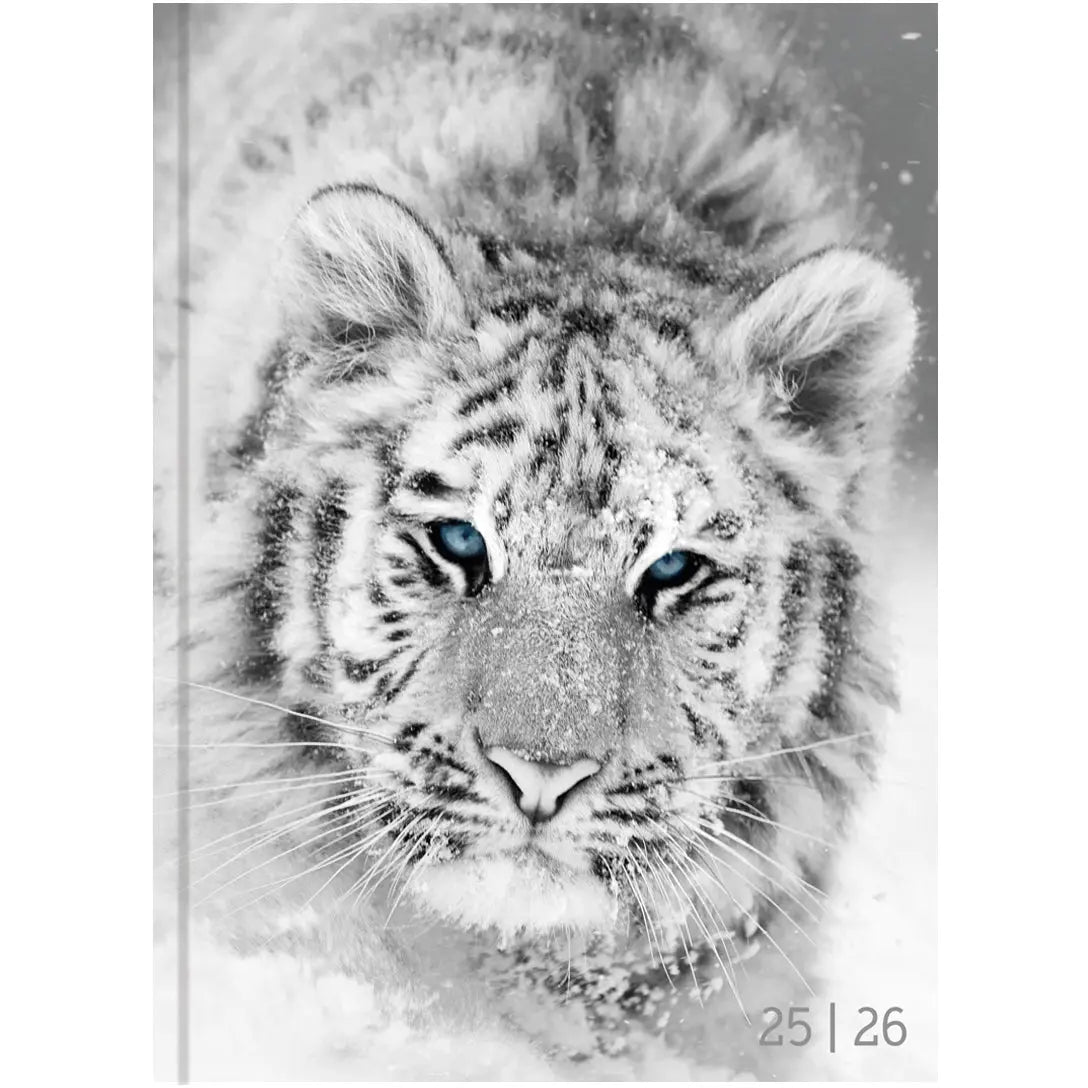 BIELLA Schüleragenda BlackWhite 25/26 Idealshop