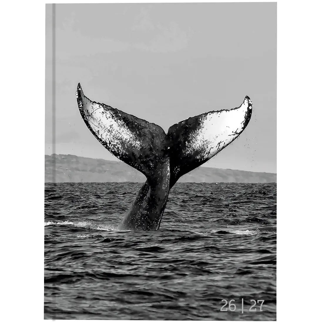 BIELLA Schüleragenda Whale 26/27 806544860027U 1T/1S 12x16.5cm Idealshop