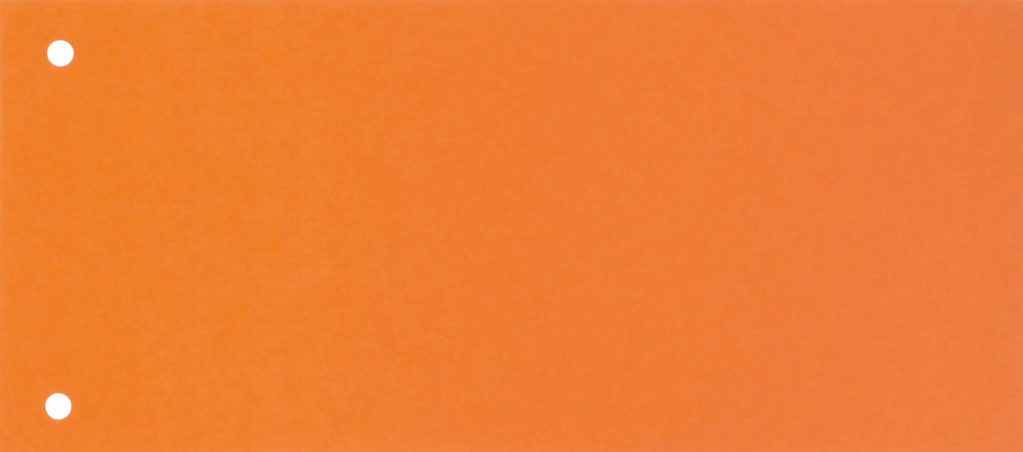 BIELLA Trennstreifen Karton 2 Loch 19919035U orange, 24x10.5cm 100 Stk. Idealshop