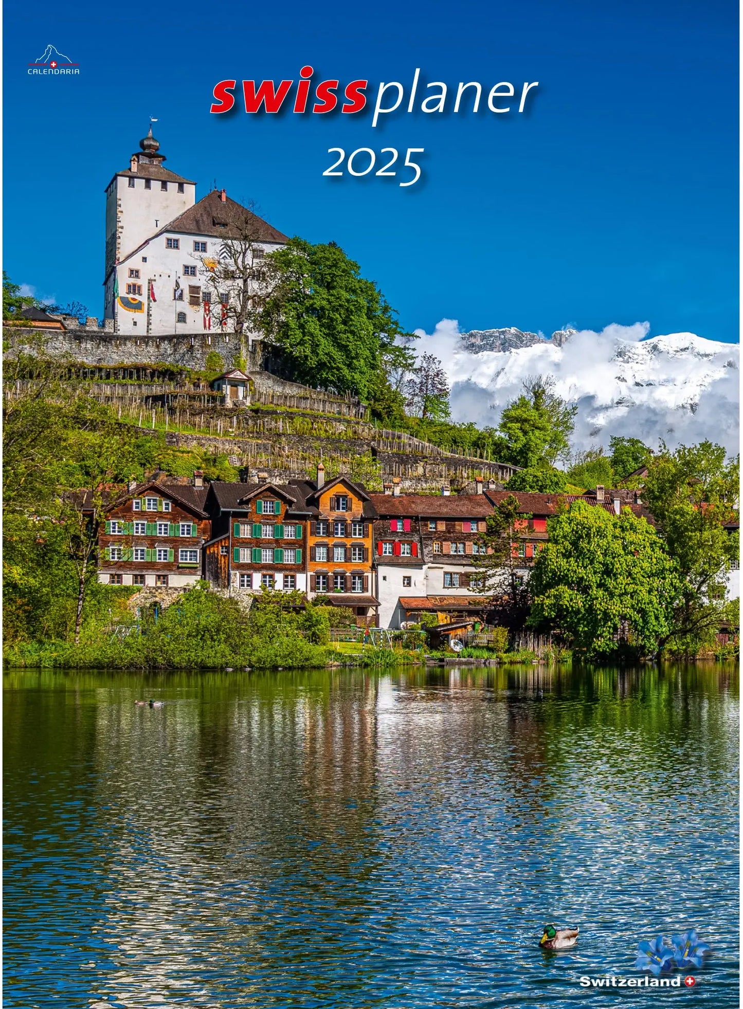 CALENDARI Planer 2025 Idealshop