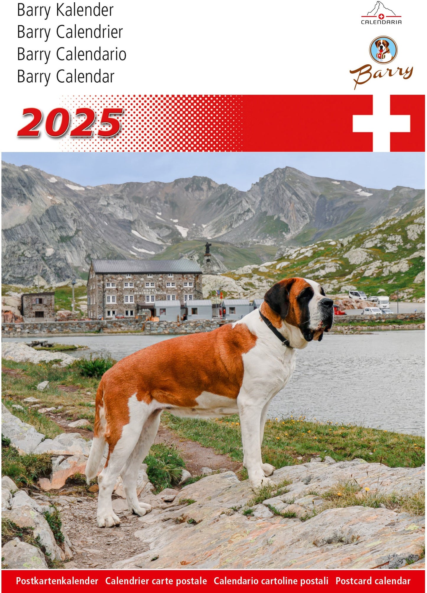CALENDARI Postkartenkalender 2025 Idealshop