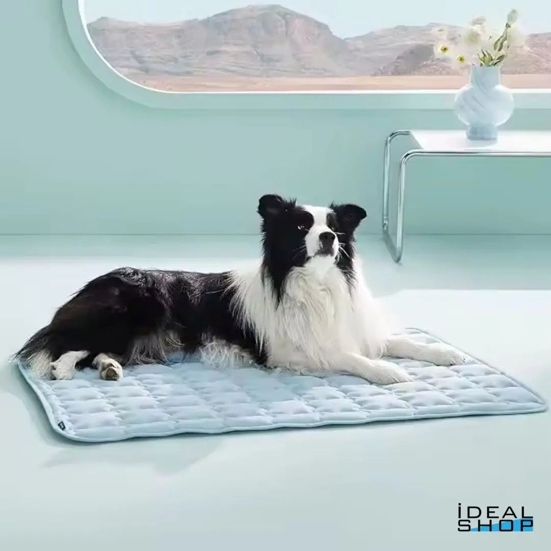 CoolPaws Ice-Matte Idealshop