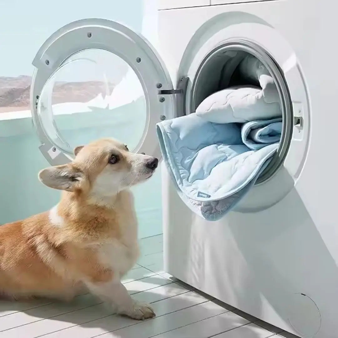 CoolPaws Ice-Matte Idealshop