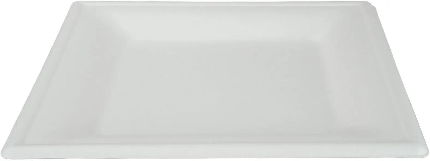 EJS Teller aus Bagasse 26x26cm Idealshop