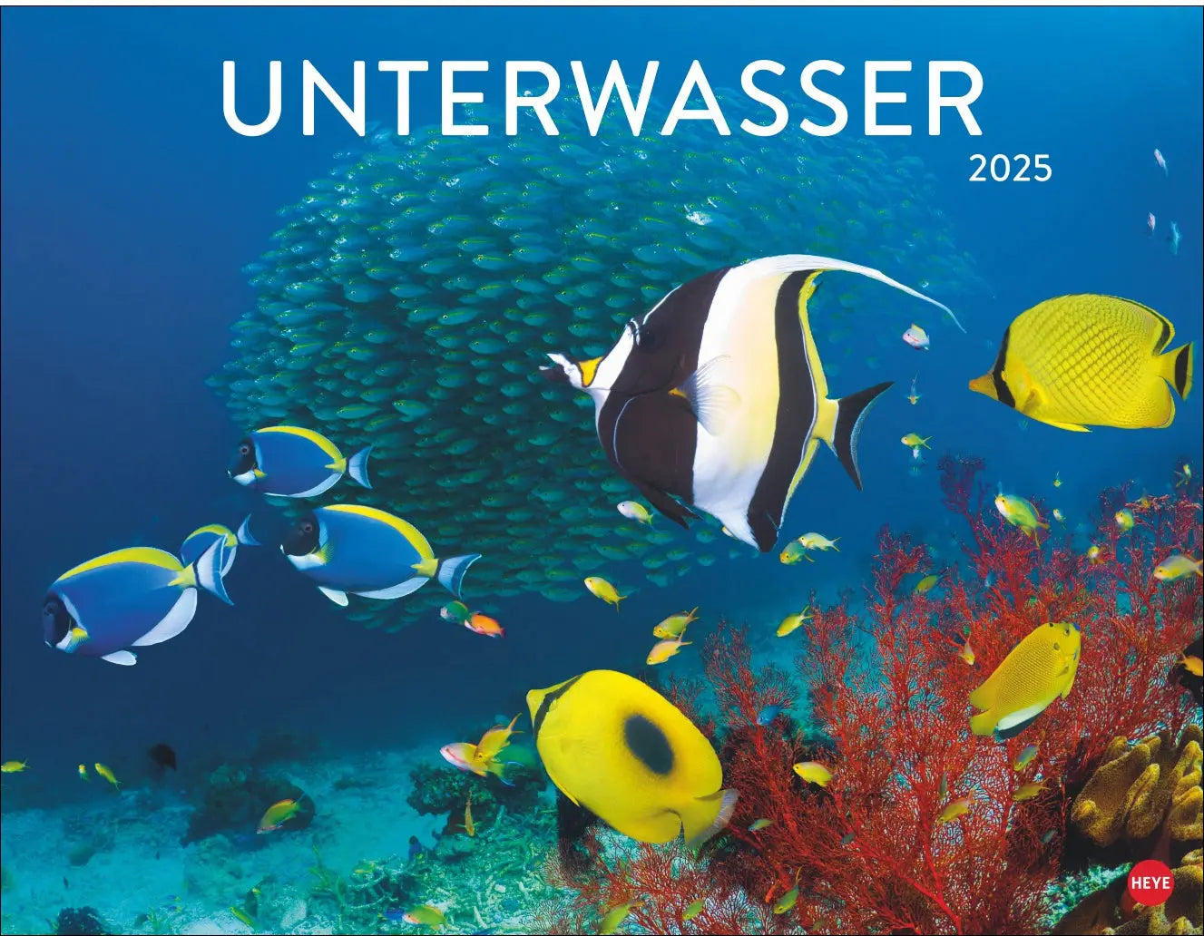HEYE Bildkalender 2025 Idealshop