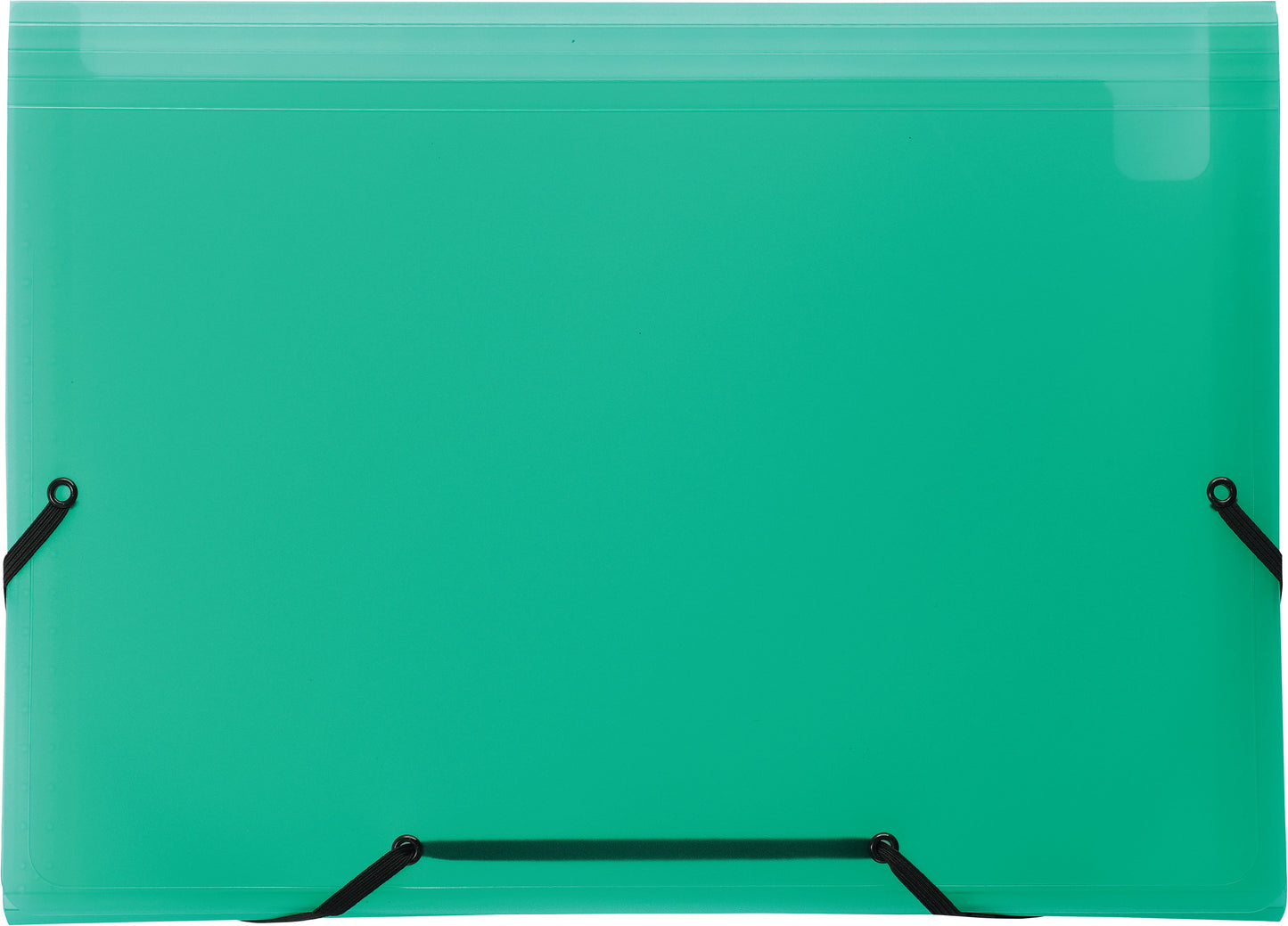 KOLMA Sammelmappe Daily Easy A4 11.017.01 grün, 13 Taschen, Kolmaflex Idealshop