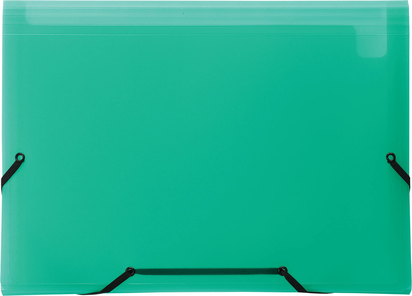 KOLMA Sammelmappe Daily Easy A4 11.017.01 grün, 13 Taschen, Kolmaflex Idealshop