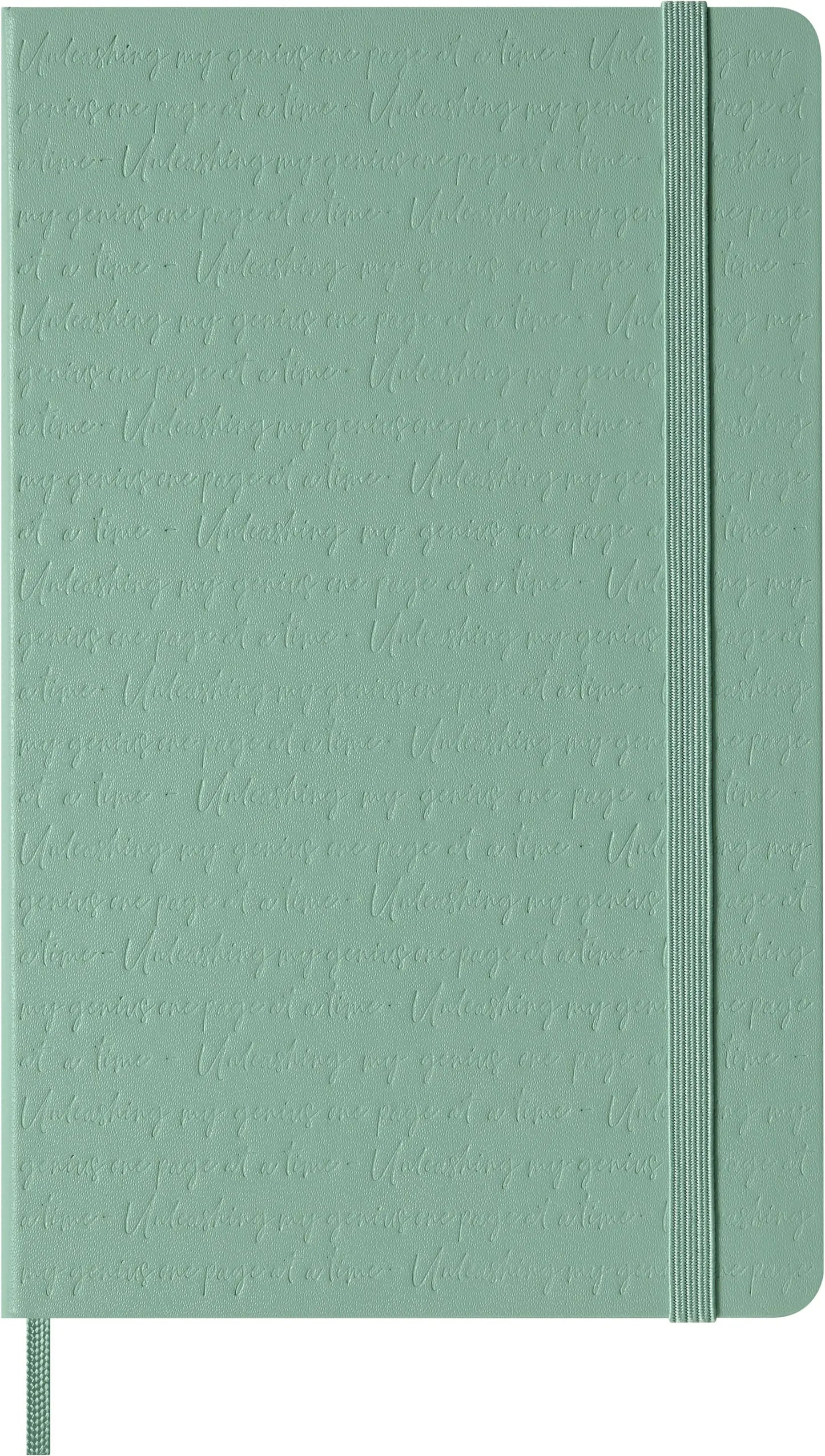 MOLESKINE Notizbuch Classic L/A5 8056999279080 liniert, salbeigrün Idealshop