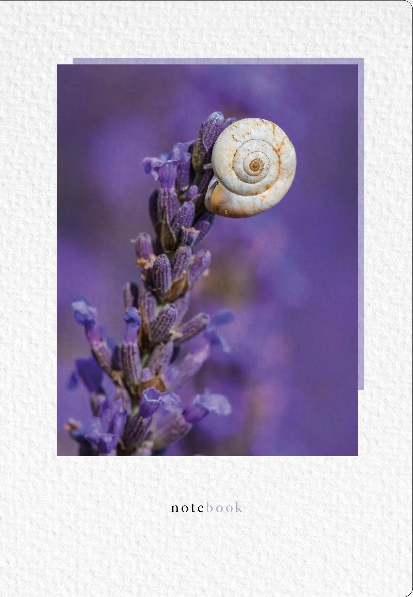 NATUR VERLAG Notizbuch Crushpaper A5 11003N Lavendel Foto, dotted Idealshop