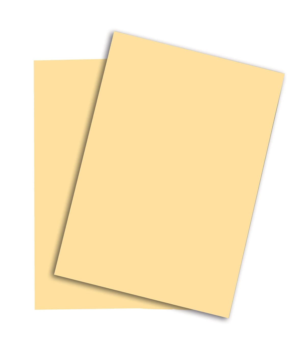 PAPYRUS Rainbow Papier FSC A4 88042250 hellchamois, 80g 500 Blatt Idealshop