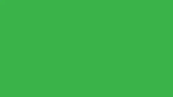 PAPYRUS Tonzeichen Sihl 130g A3 88020084 grün 100 Blatt Idealshop