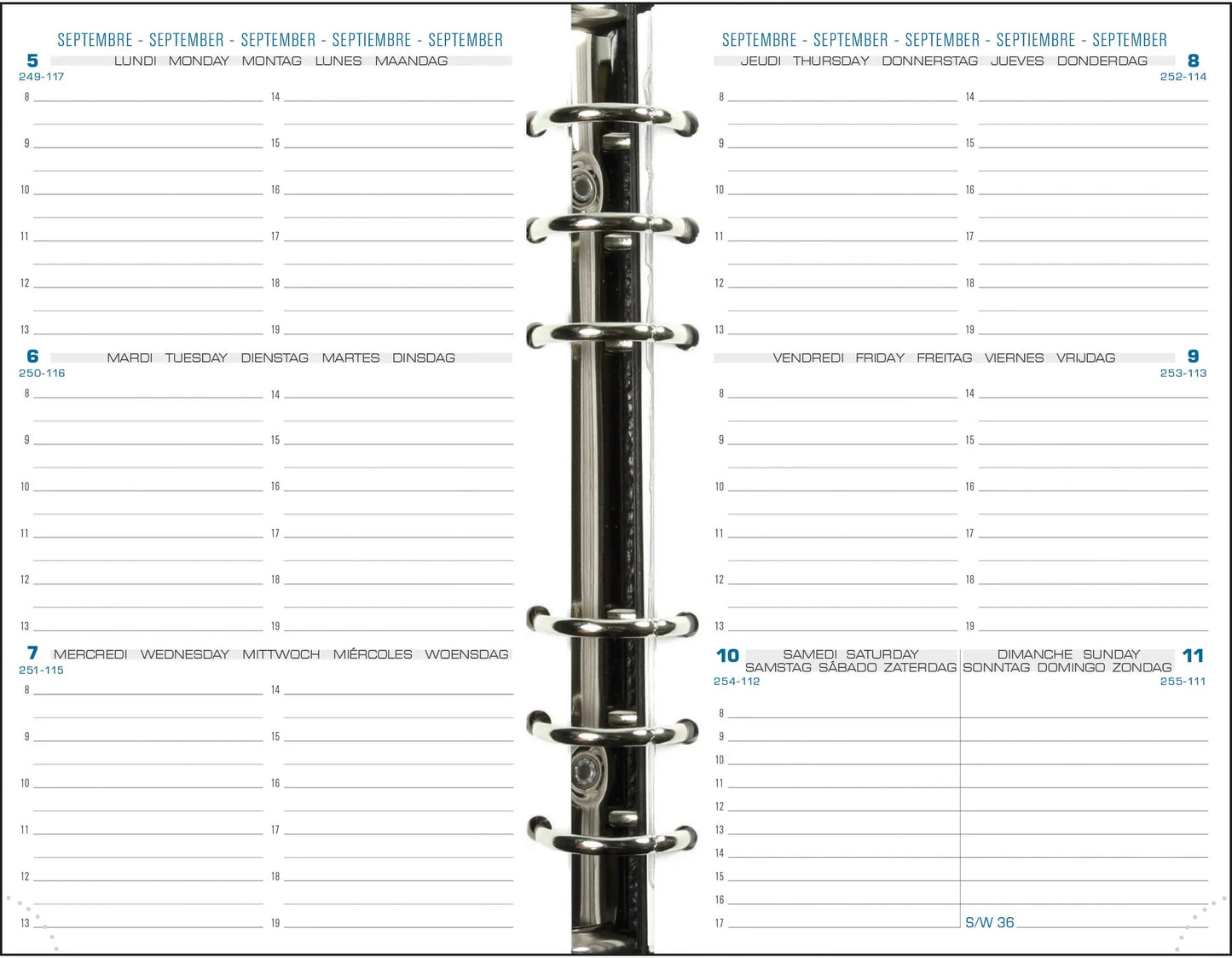 QUO-VADIS Exatime 17 Inhalt 26/27 18240E 1W/2S 16M ML 9x17cm Idealshop