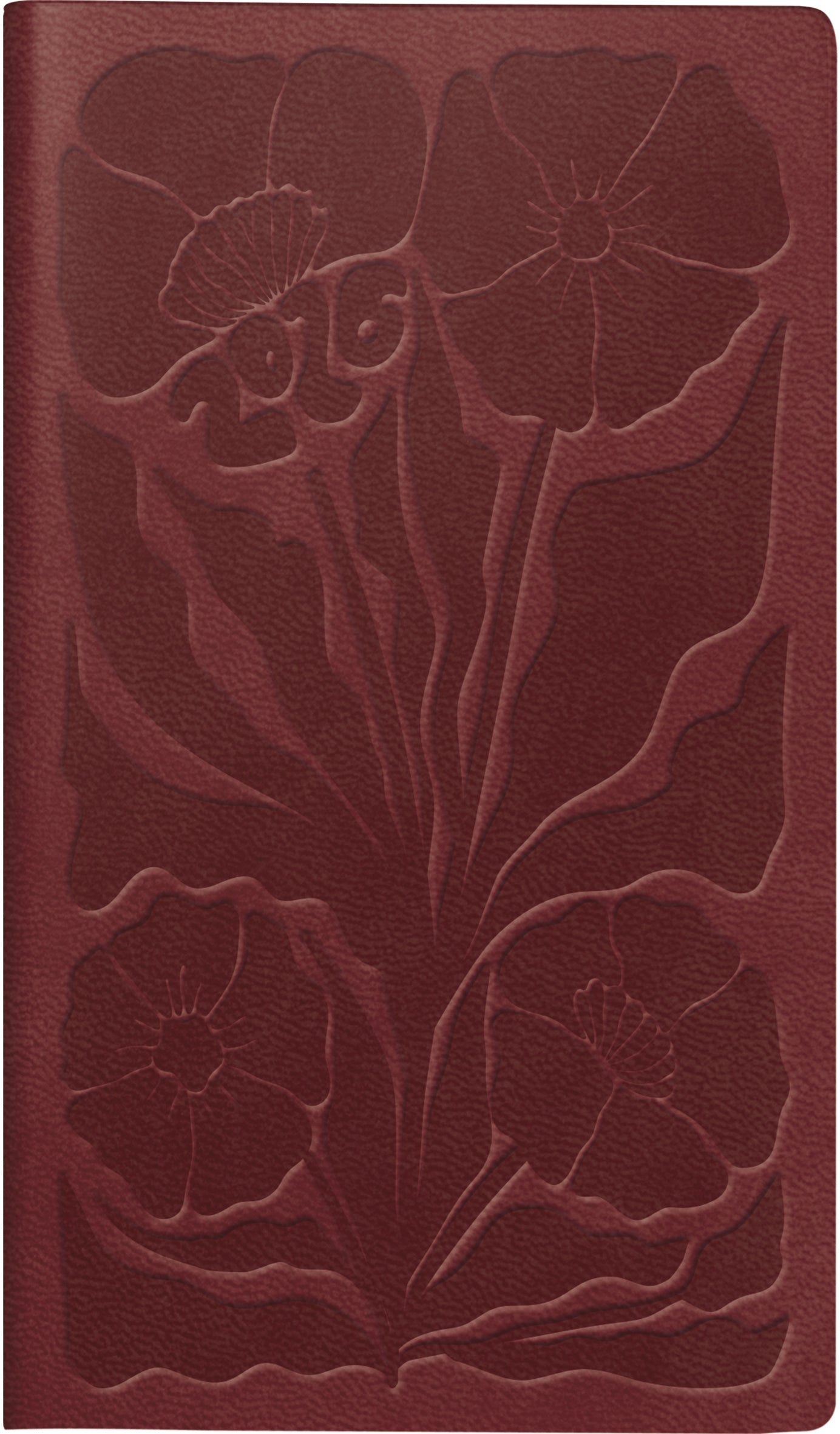 RIDOIDE TA International 2026 7016915026.26 1W/2S dunkelrot ML 8.7x15.3cm Idealshop