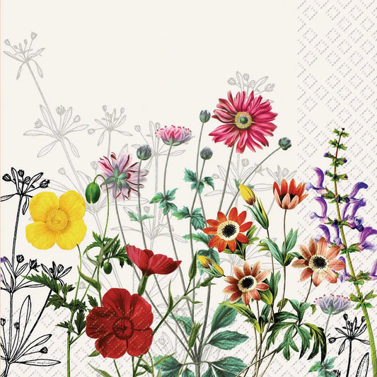 STEWO     Serivette Prairie      33x33cm Idealshop