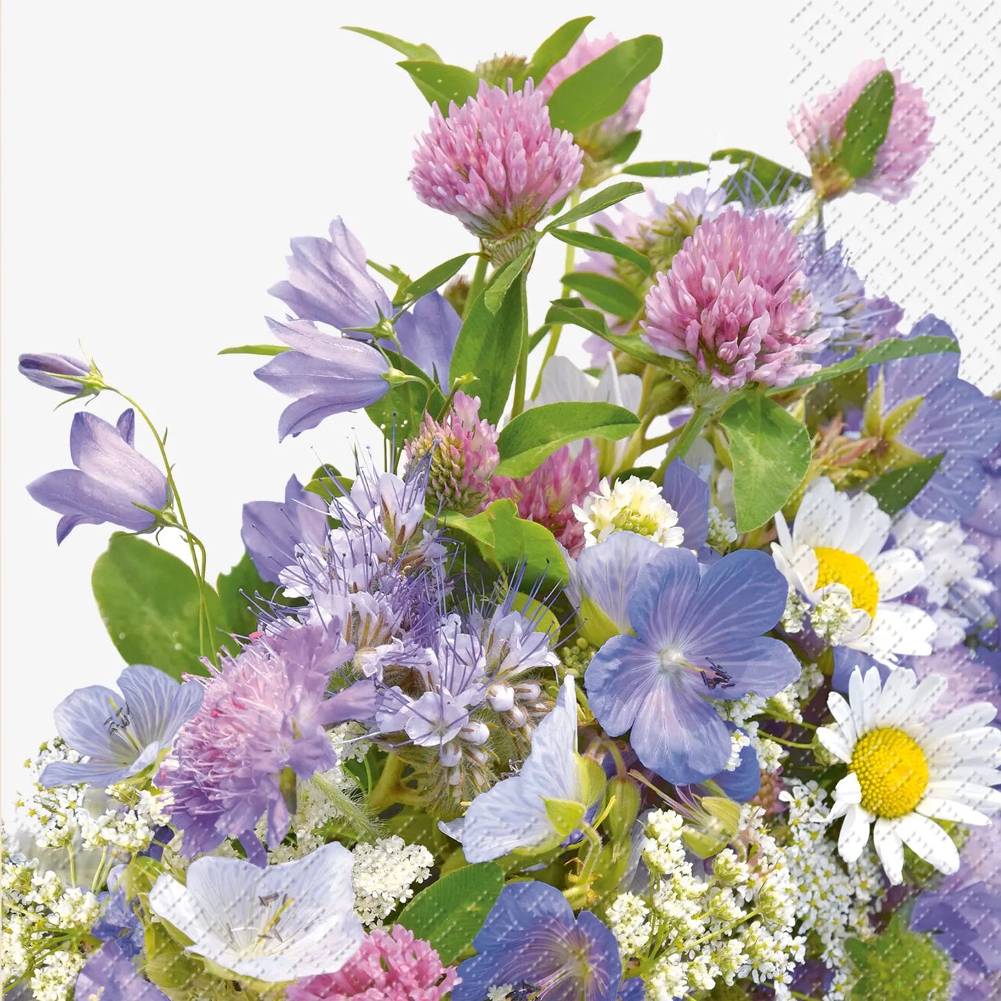STEWO Serviette Erika 33x33cm Idealshop