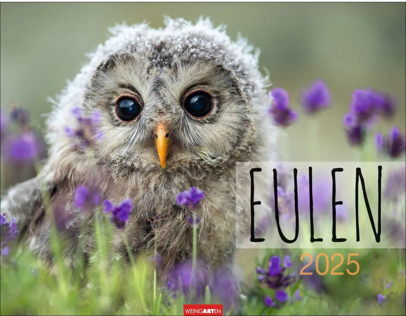 WEINGARTE Bildkalender 2025 Idealshop
