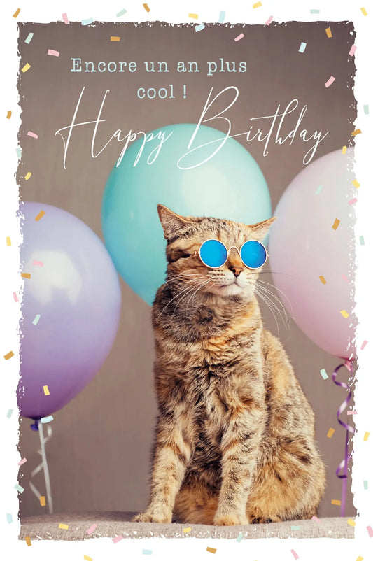 ABC Geburtstagskarte FR B6 53066 Sunny Cat Idealshop