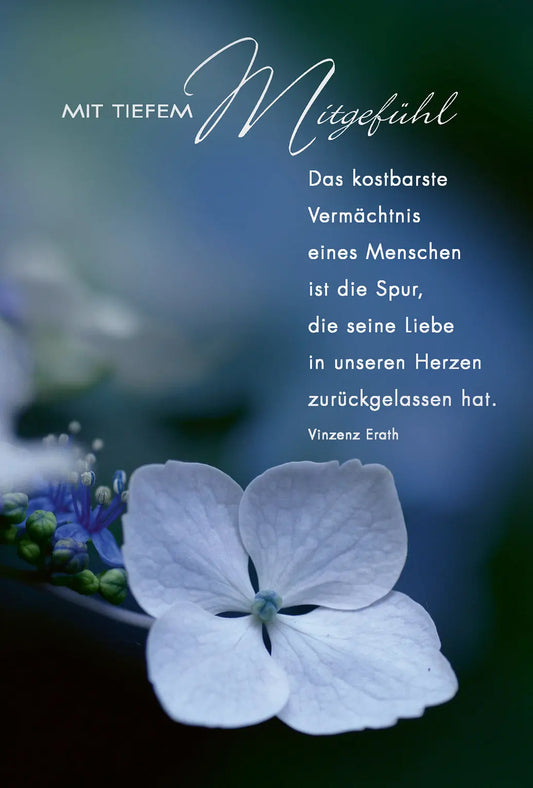 ABC       Trauerkarte              Blume Idealshop