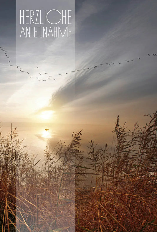 ABC       Trauerkarte              Natur Idealshop