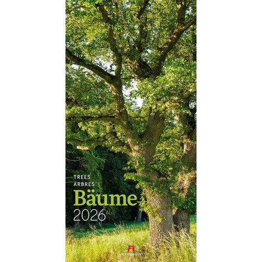 ACKERMANN Bildkalender 2026 2620 Bäume ML 33x66cm Idealshop