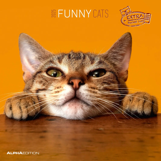 ALPHA EDI Funny Cats                2025 Idealshop
