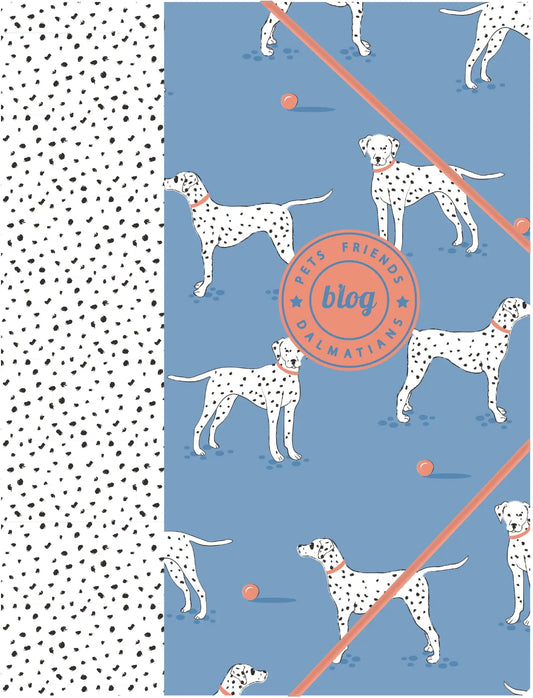 ANCOR Gummibandmappe A4 105438 PET FRIENDS blau Idealshop