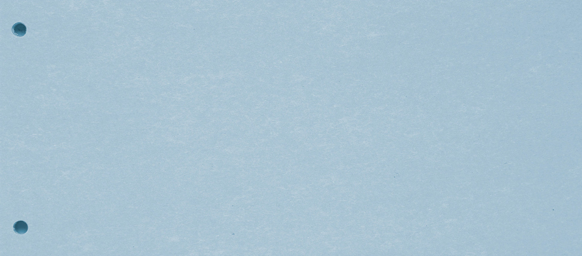 BIELLA Trennstreifen Karton 2 Loch 19919005U blau, 24x10.5cm 100 Stk. Idealshop