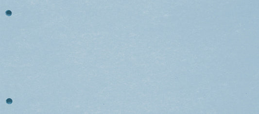 BIELLA Trennstreifen Karton 2 Loch 19919005U blau, 24x10.5cm 100 Stk. Idealshop