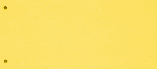BIELLA Trennstreifen Karton 2 Loch 19919020U gelb, 24x10.5cm 100 Stk. Idealshop
