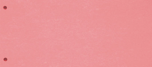 BIELLA Trennstreifen Karton 2 Loch 19919045U rot, 24x10.5cm 100 Stk. Idealshop