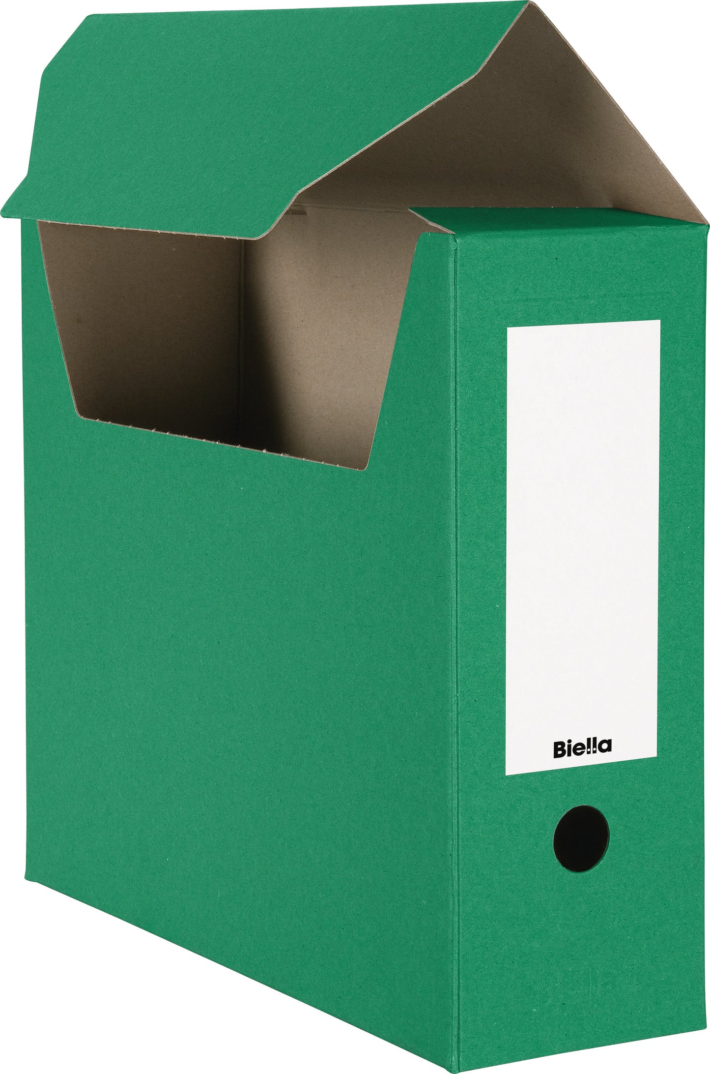 BIELLA Archivschachtel A4 26341030U grün 27.8x10x32.3cm 10 Stk. Idealshop