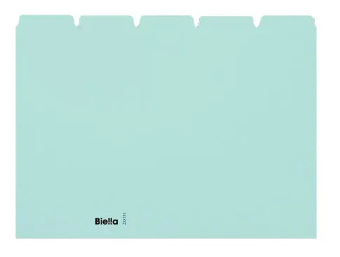BIELLA Kartei-Leitkarten blanko A5 21055505U blau 25-teilig Idealshop