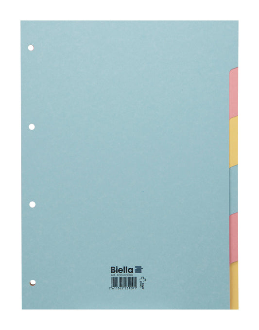 BIELLA Kartonregister A4 46044600U pastell 6-teilig Idealshop