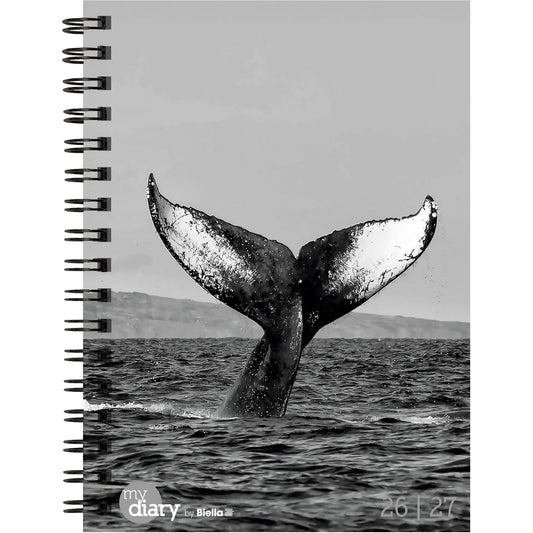 BIELLA Schüleragenda Whale 26/27 806517860027U 1W/2S 12x16.5cm Idealshop