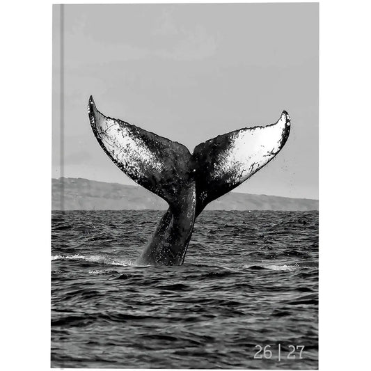 BIELLA Schüleragenda Whale 26/27 806544860027U 1T/1S 12x16.5cm Idealshop