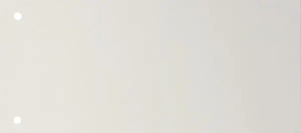 BIELLA Trennstreifen Karton 2 Loch 19919001U weiss, 24x10.5cm 100 Stk. Idealshop
