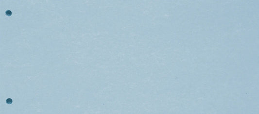 BIELLA Trennstreifen Karton 2 Loch 19919005U blau, 24x10.5cm 100 Stk. Idealshop