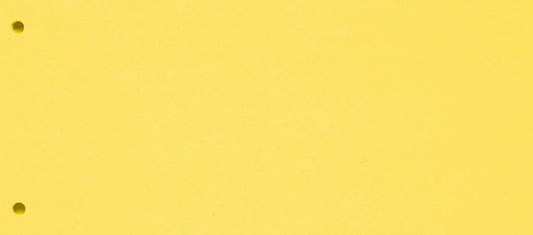 BIELLA Trennstreifen Karton 2 Loch 19919020U gelb, 24x10.5cm 100 Stk. Idealshop