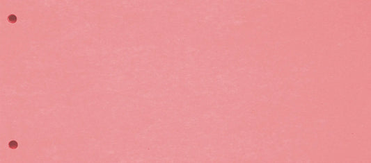 BIELLA Trennstreifen Karton 2 Loch 19919045U rot, 24x10.5cm 100 Stk. Idealshop
