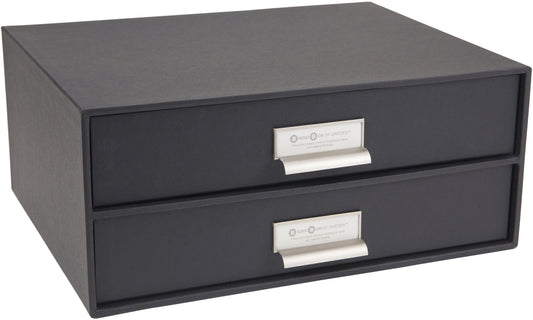 BIGSO BOX OF SWEDEN Schubladenbox Birger 15752000 2 Schubladen, dunkelgrau Idealshop