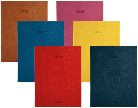 BREPOLS Agenda Optivision Lucca 2026 0.118.3394 1W/2S ass. 17.1x22cm Idealshop