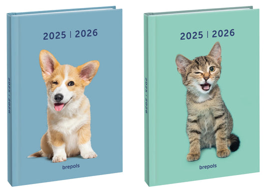 BREPOLS   Schüleragenda Amici      24/25 Idealshop