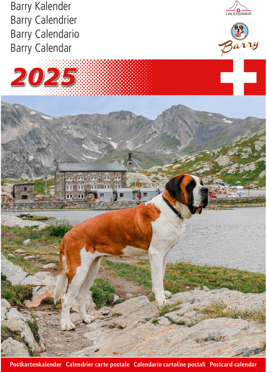 CALENDARI Postkartenkalender        2025