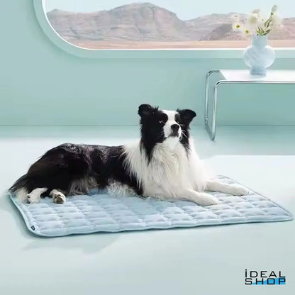 CoolPaws Ice-Matte Idealshop