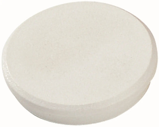 DAHLE Magnete 95532-21400 10 Stk. 32mm weiss Idealshop
