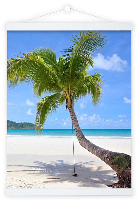 DEBEX     Posterleisten           51x2cm Idealshop