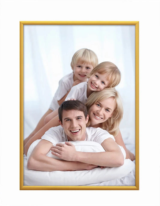 DEBEX Wechselrahmen 18x24cm 904301-180X2 Alu gold Idealshop