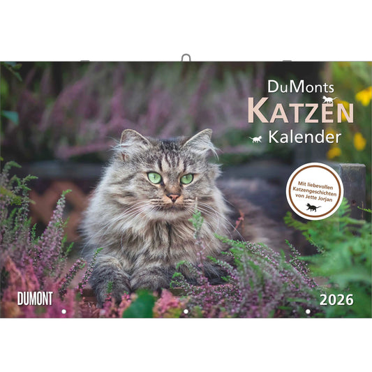 DUMONT Bildkalender 2026 260621 Katzen DE 42x29cm Idealshop
