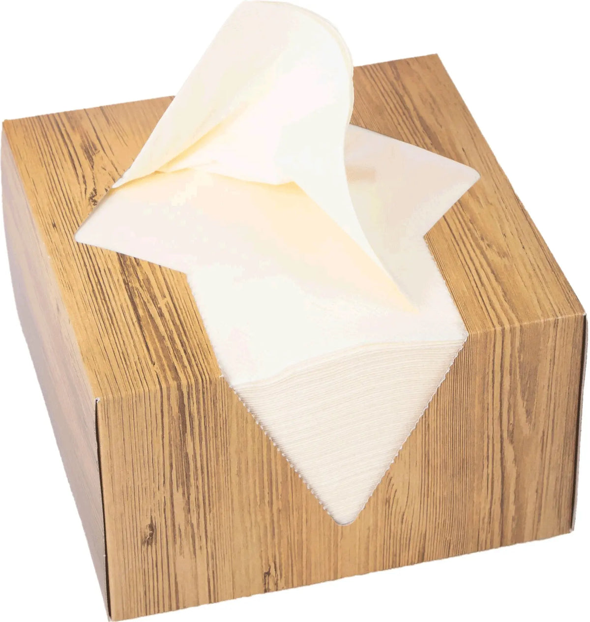 ELCO Serviettenbox 33x33cm 33402100-004 3-lagig, crème 100Stk. Idealshop